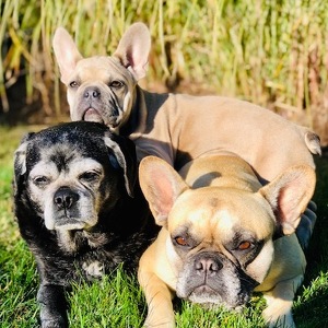 Fundraising Page: Leslie Allen